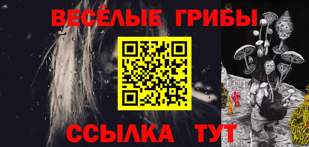 Псилоцибиновые грибы Psilocybe Ачинск