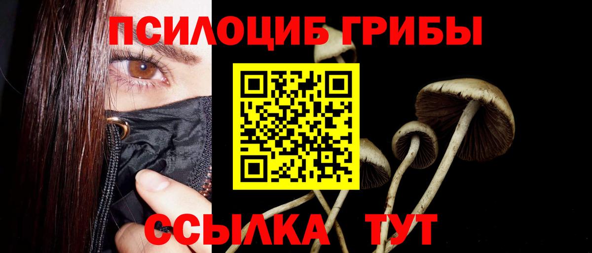 Ачинск  что такое   Псилоцибиновые грибы прущие грибы  Вход с VPN  Псилоцибиновые грибы Cubensis 